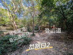 -紫金山山顶公园