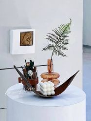 -VE专注问题肌·赛诺龙&科学美肤中心