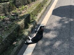 -黄桷坪涂鸦艺术街