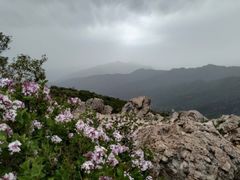 -妙峰山风景名胜区