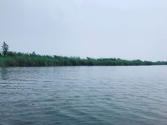 -白洋淀景区