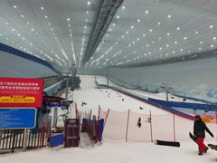 -哈尔滨热雪奇迹
