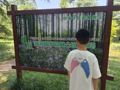 -日照海滨国家森林公园