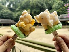 -野象谷景区