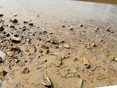 -青岛第三海水浴场