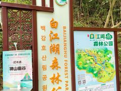 -广州白江湖森林公园