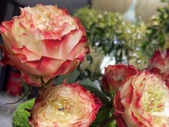 -花锦堂·隐庐