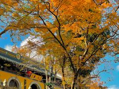 -虞山风景区