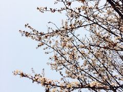 -苏州吴中太湖旅游区