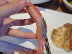 -大渔·观筵(三里屯太古里店)