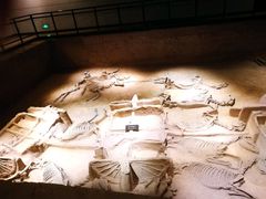 -洛阳周王城天子驾六博物馆