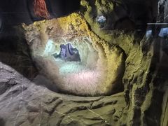 -湖南省地质博物馆