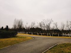 -白鹭湾湿地公园