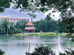 -东山湖公园