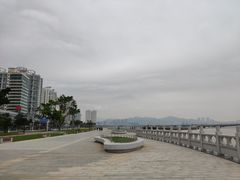 -野狸岛