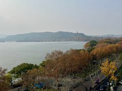 -杭州君悦酒店