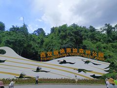 -西双版纳原始森林公园