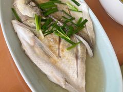-亮河湾山庄