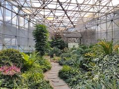 -昆明市金殿名胜区