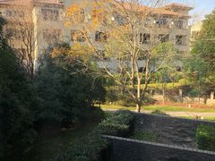 -上海崇明金茂凯悦酒店