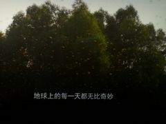 -幸福蓝海国际影城(烟台大悦城IMAX店)