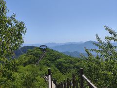-大岭沟猕猴桃谷风景区