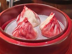 -随堂里