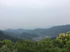 -龙井村