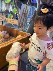 -酷嗒动物文化乐园(cutezoo西溪乐天城店)