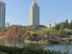 -深圳龙潭公园