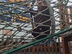 -上海市浦东新区恒宇幼儿园(杨南部)