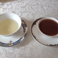 -海茱雅科技健康美容