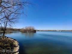 -大兴滨河森林公园