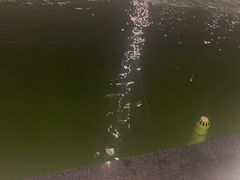 -DGE季风钓虾营地·团建·聚会