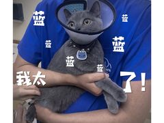 -芭比堂动物医院广州顽皮分院