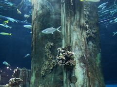 -福州罗源湾海洋世界旅游区