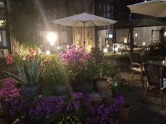 -瓦库茶馆17号(海汇港店)