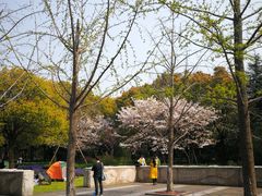 -吴淞炮台湾湿地森林公园烧烤区