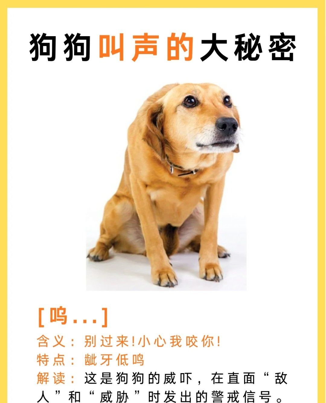 狗为什么喘气声音很大