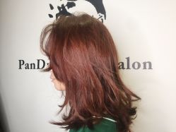 -东方麒麟·潘多拉SALON