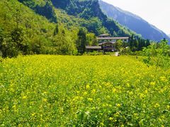 -鹿院坪生态旅游景区