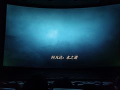 -卢米埃影城(长楹天街IMAX激光店)