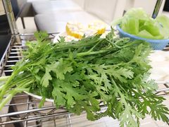 -蜀皇·菌汤鲜黄牛肉汤锅(宽窄巷子店)
