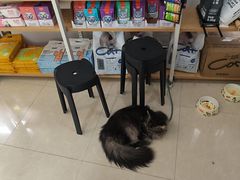 -瑞鹏·疫苗·绝育·宠物医院(金沙洲店)