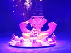 -广州长隆国际大马戏