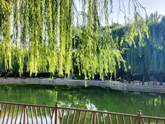 -团结湖公园