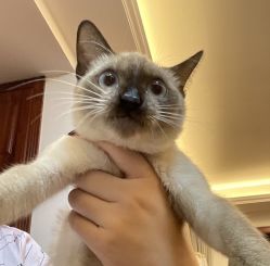 -雲艺刺青·洗纹身