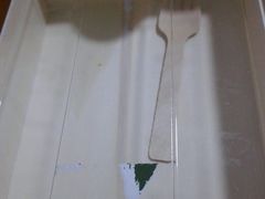 -万利隆·活力烘焙(人民路店)