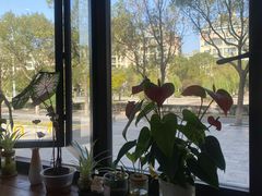 -阿玲海鲜面(高亭镇星河路店)