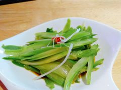 -蒙料·手把肉(望京店)